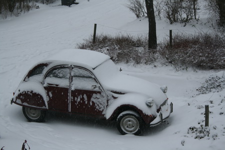 Ook Eenden hebben het moeilijk in deze tijd van het jaar....