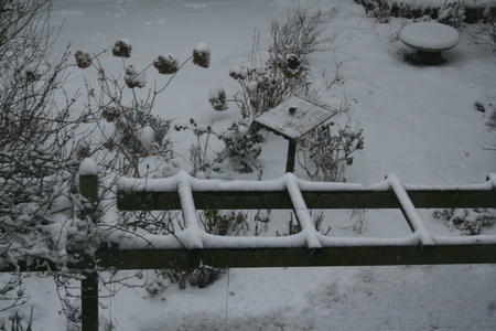 De achtertuin wordt royaal voorzien van dit winterse gerecht. Mooie plaatjes, maar....harde tijden voor o.a. de vogels!
