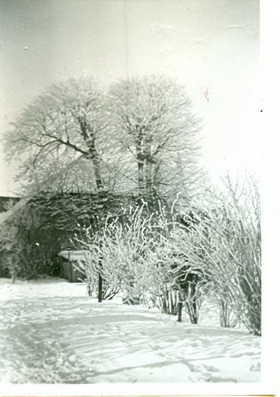 WAAR in Noordhorn????