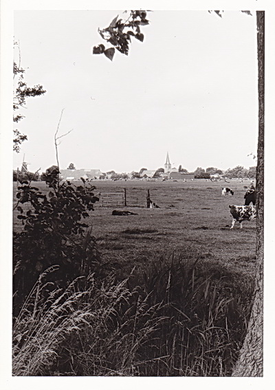 2013-01-26 16-09-54_1823 verkl