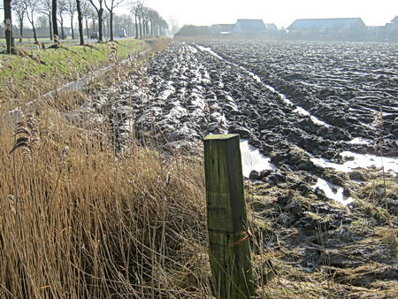 Uitkijken waar je loopt, je glijdt zo de sloot in....