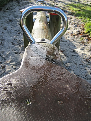 Wat is dit? Gymtoestel? Nee, de wip-wap bij de oude kastanjeboom, ontdooiend...