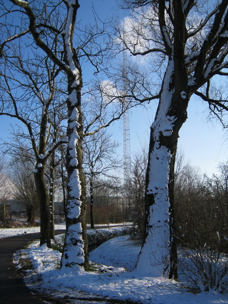 Boeiend lijnenspel aan de Mokkenburgweg. Besneeuwde bomen en een GSM-mast....