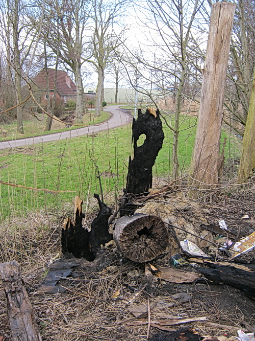 De verkoolde resten van boomstronken op de hoek bij de oude Sip-schuur. Op de achtergrond huize Hekkema aan de Mokkenburgweg