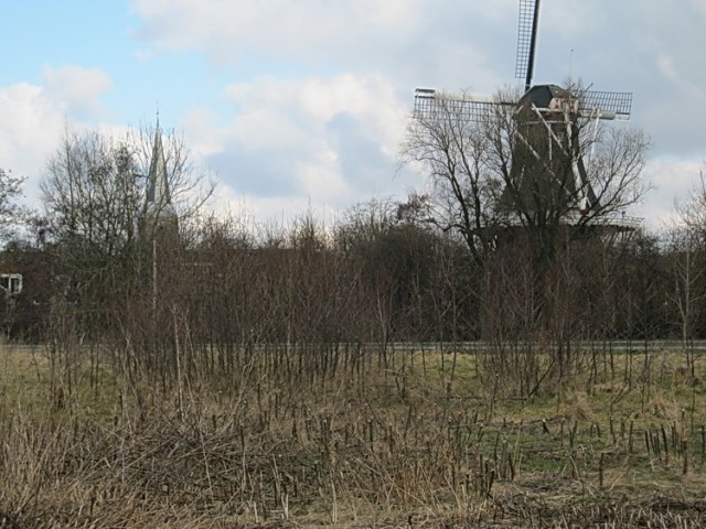Het ruige terrein, voormalig eigendom van Sip van der Veen. Binnenkort rotonde-in-aanbouw...