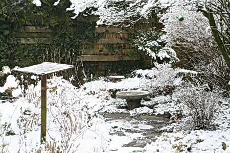 Ook de eigen achtertuin was niet vergeten. Sneeuw in ruime mate, voor de vogels wat ruimte gemaakt, al scharrelen ze soms ook graag (?) in die witte laag.