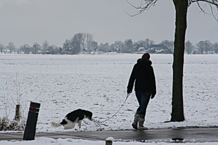 Voordeel/nadeel van een hond als huisdier: Je moet er regelmatig even mee naar buiten, hier buiten-buiten....