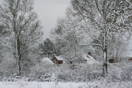 En deze? Winterser kan het haast niet....