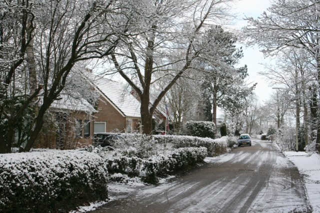 En dit is inderdaad de Noordwijkweg, links het huis van Pierre en Myra Eijgelshoven. Nee, Anne liet zich niet in de luren leggen door mijn onnozele suggestie: 'Dwarsstuk Borgweg'?
