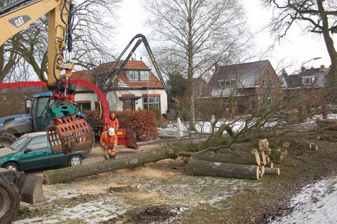 Het neerhalen, onttakken, in mootjes hakken..... Een fluitje van een cent....