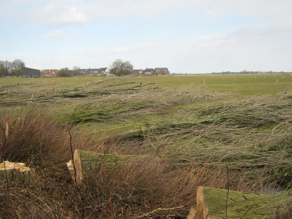 Ook aan de achterkant van Langestraat 11 en 9 een kaalslag, met uitzicht op Esdoornstraat-Zuid. IN het weiland waaiende wimpels en rondtollende ballen, ter verschrikking van vogels met nestelintenties....