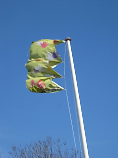 Gewapper aan de vlaggenmast voor het dorpshuis. Is dit het symbool voor NL Doet? Of is het in dit stadium "NL Deed"?