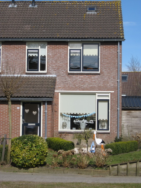 In de onverwachte voorjaarskou is er ook iets vreugdevols te constateren: Een winterharde ooievaar die een baby bracht! Het is een jongen! Gefeliciteerd!!