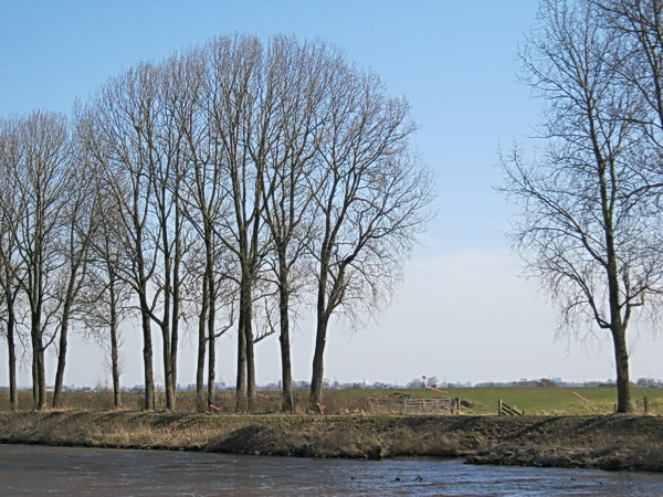 Aan de zuidkant is er nog bijna niet gekapt; wel is het te bewerken gebied voorzien van vogels verjagende linten, de gevederde vrienden op deze wijze verzoekend elders hun voortplantingsdrang te botvieren...