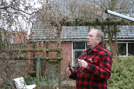 Kasper in de prachtig gelegen achtertuin, de krulhazelaar met een snoeischaar 'bedreigend'....