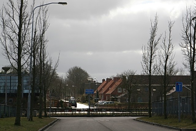Verrassend zonnige blik vanaf de Industrieweg richting Westergast