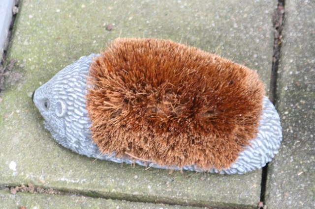 Bij onze achterdeur, een egel om schoenen te 'schonen'.... Eerbewijs of vernedering???
