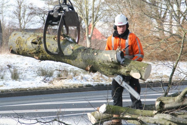 Stammen in stukken, takken eraf en meteen verwerkt. Zo wordt wat jaren groeide, in één dag gedegradeerd tot grondstof voor bouw, tuinieren of stookkunst.