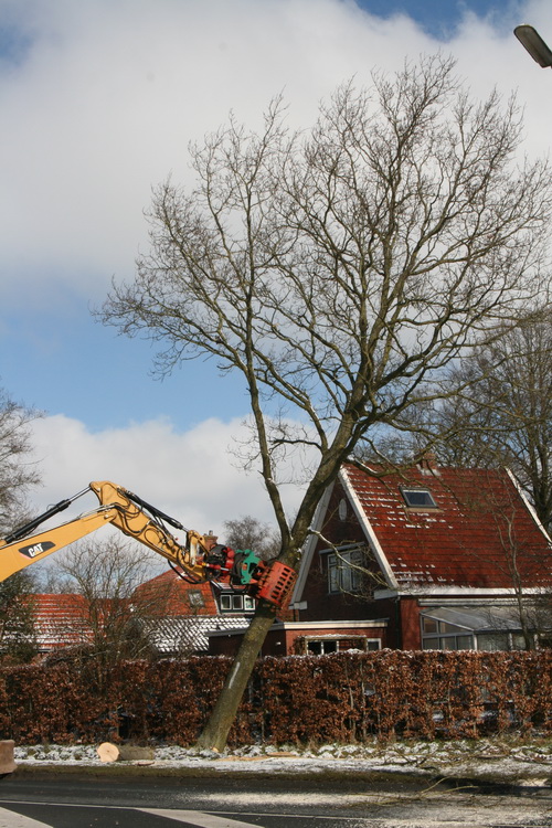 .... daar gaat ie al! Alsof het lucifershoutjes zijn...
