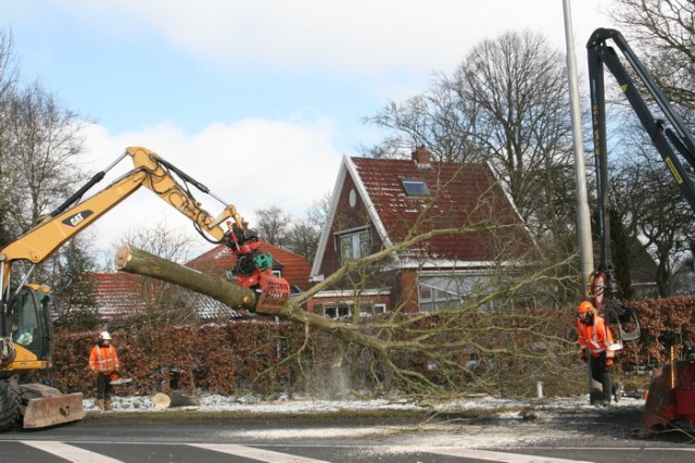 Herhaling van het voorgaande: Stam in stukken, takken eraf en meteen verpulverd...