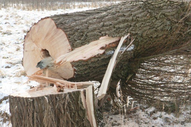 Nee, dit hoeven we niet melodramatisch te benaderen, maar een paar seconden stilte uit eerbied.....