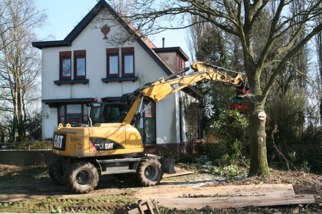 Grijper intussen op de platen in de voortuin... De vaardige grijpermachinist omarmt de te vellen boom, een laatste liefkozing....