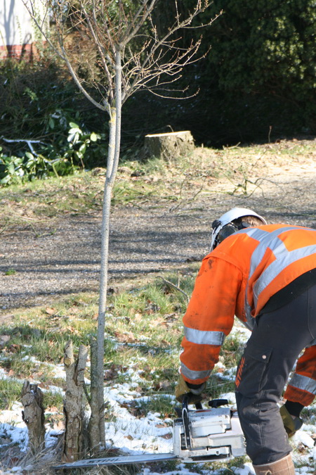 Het terloopse werk bij nummer 9 wordt alvast afgehandeld. Ook de kleintjes ontkomen niet aan hun ondergang.