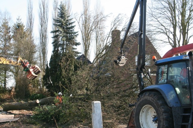 Als het slachtoffer na de uppercut terneergeslagen zijn grootte (en grootsheid) liggend demonstreert, wordt hem daar nauwelijks tijd voor gegund. Takken eraf, de stam in stukken. Volgende....