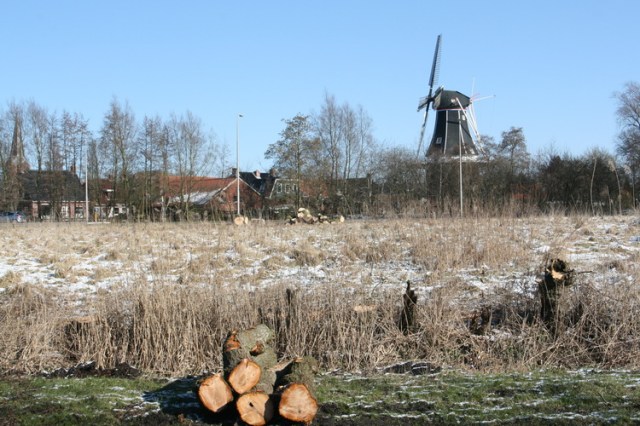 Even vertreden, weg van de plek des onheils. Rondje Mokkenburgweg, de kaalslag tegenover huize Hekkema, de plek waar de nieuwe driewegrotonde komt.