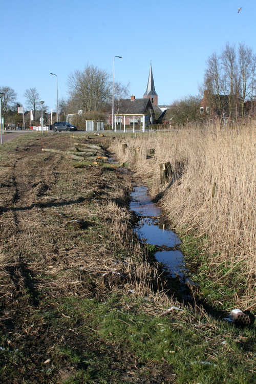 Ter afsluiting even wat anders op het netvlies,  de  rand van het noordelijke deel van de Mokkenburgweg. 