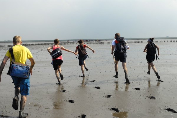 Een wadloopgids heeft wel enige conditie nodig....