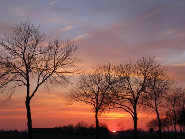 Simpel, maar mooi...