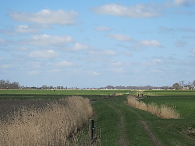 De Oude Weg met in het zonnige weidegebied een solerende eierzoeker, fiets rechts tegen een hek...
