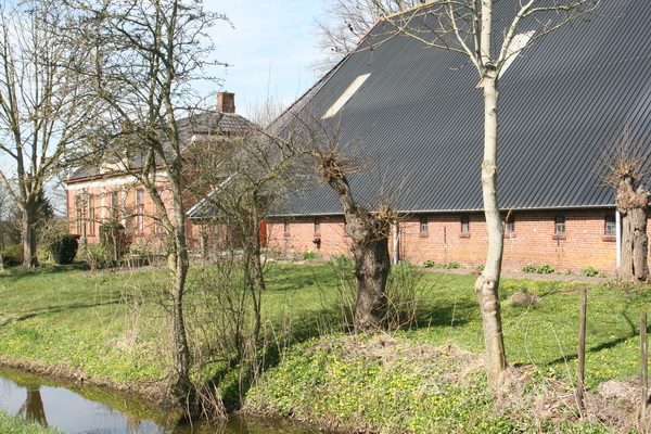 Ook bij woonboerderij "Mokkenburg" siert het speenkruid de waterkant. Een waarachtig bloemenfeest!