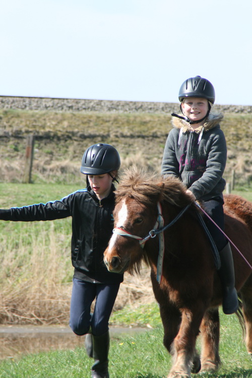 Hé, kijk, twee ponyvriendinnen, één pony... En de andere? Die was wat uit zijn humeur....