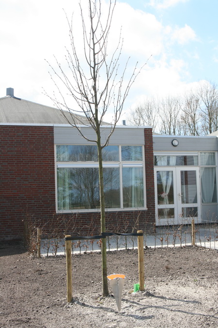 Dit is 'm! Dat hij welig kan tieren!