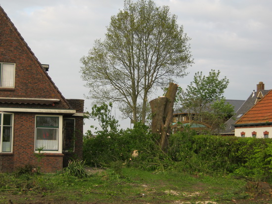 's Avonds om een uur of acht nog even gekeken, kalend landschap. Door sommigen betreurd, door anderen toegejuicht, door velen schouderophalend ontvangen. "Stonnen doar bomen dìn???!"