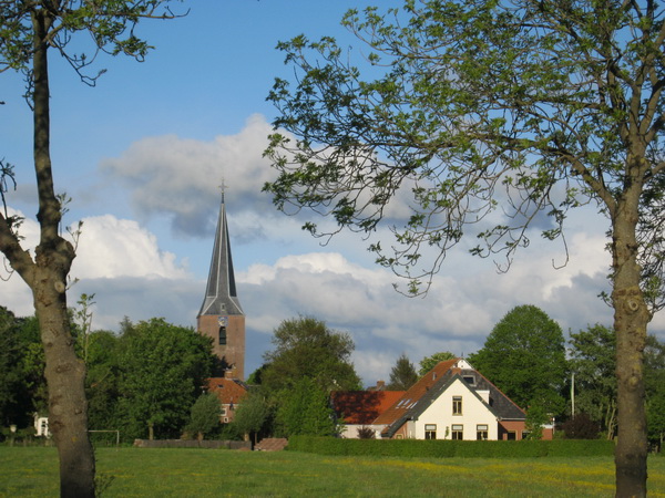 Noordhorn West tussen twee essen