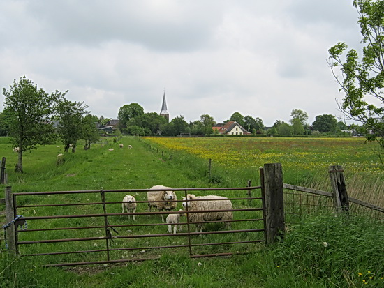Land van Auwema, foto vanaf snupijnt Oude Weg met N355