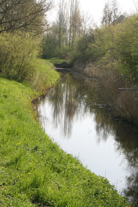 Gelukkig, een deel van de oude Schipsloot (b)lijkt te overleven....