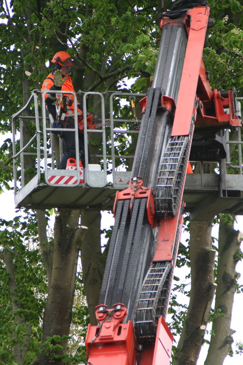 Twee motorzaagspecialisten op hoog niveau aan het werk, in het bakje van een hoogwerker....