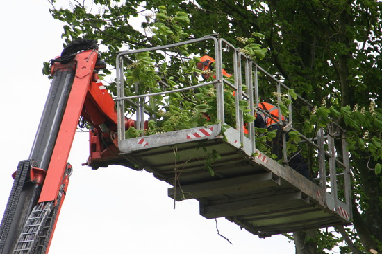 Nee, hoogtevrees hindert ze niet, deze klussers in het groen