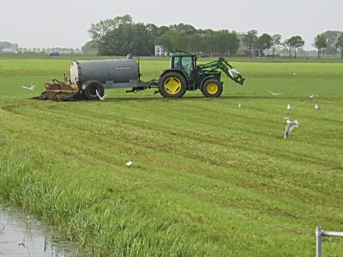 Ook nog even overdwars... Op de achtergrond de boerderij van de familie Vermuë aan de Rijksstraatweg/N355.