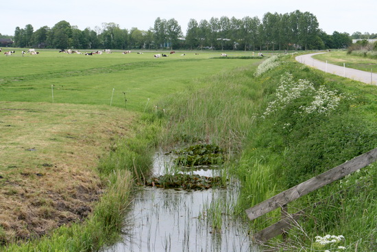 ook even een kiekje naar het oosten, richting boerderij Mokkenburg en het dorp