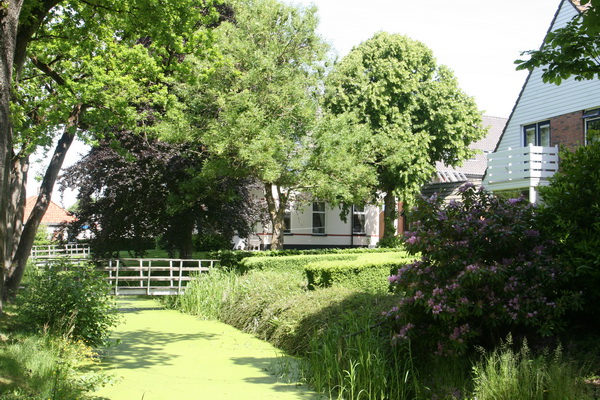 Korte middagpauze.... Even laten zien dat er heus nog wel mooie, ongeschonden plekken zijn in Noordhorn Nu!