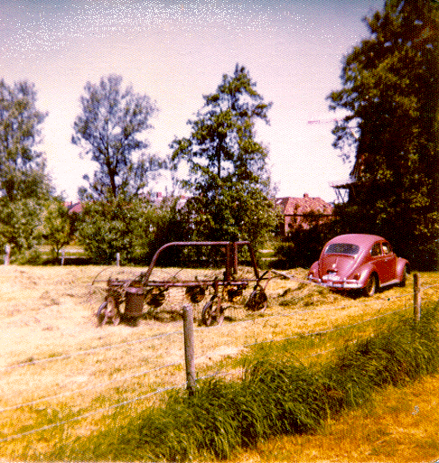 hooien op het weiland met de Kever....