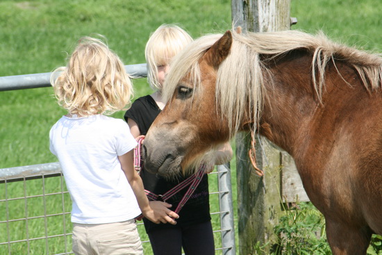 Het knuffeldier is niet echt overtuigd, maar lijkt zijn fans hun zin te geven.....