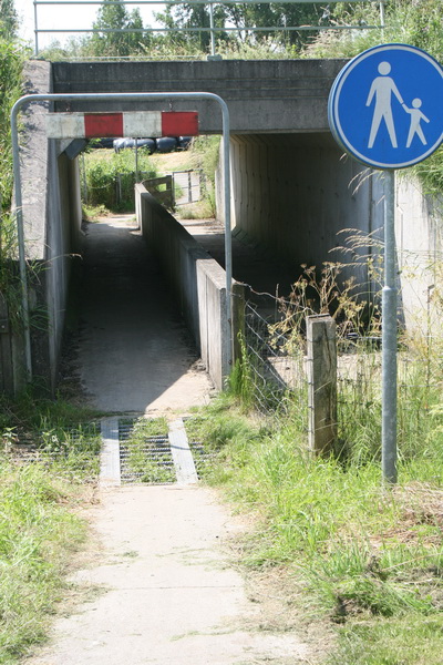 De tunnel waarover het bericht handelt. De wandelaars en (afgestapte?)fietsers vanaf deze kant links passerend, rechts de route voor de koeien.