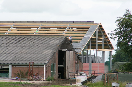 De nieuwe schuur naast de oude van de familie De Jong wordt dakdicht gemaakt. Dat moet nog lukken voor de bouwvak....