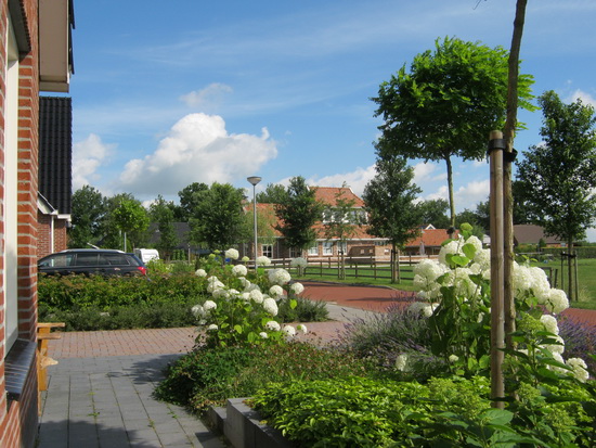 De Meidoornstraat in zomertooi, het vizier gericht op het landgoed van de familie Matter